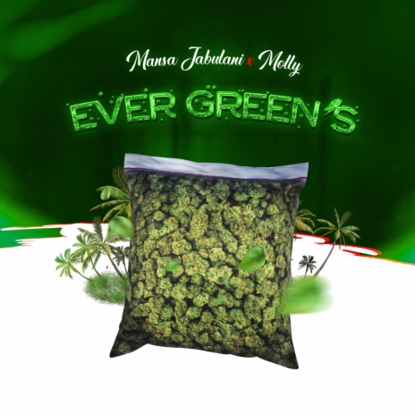 Ever Green's ft. MollyDVybe 🅴 | Boomplay Music