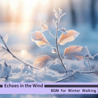 Bgm for Winter Walking