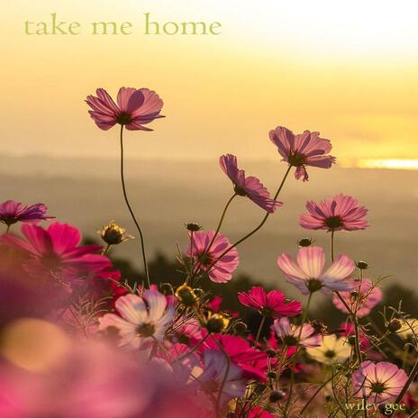 take me home