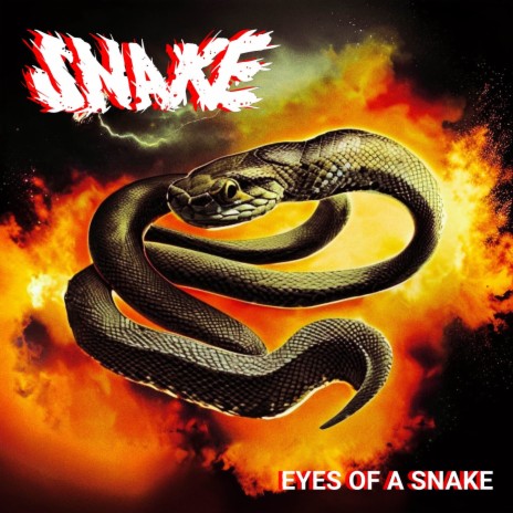 Eyes of a Snake | Boomplay Music