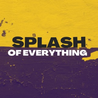 Splash Of Everything
