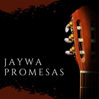 Jaywa promesas