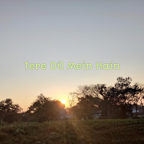 Tere Dil Mein Hain | Boomplay Music