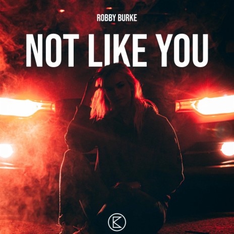 Not Like You (Radio Edit)