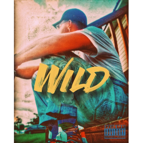 Wild | Boomplay Music