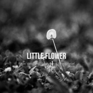 Little flower (Relaxing, Sleep well, Study focus, Stress Relief)