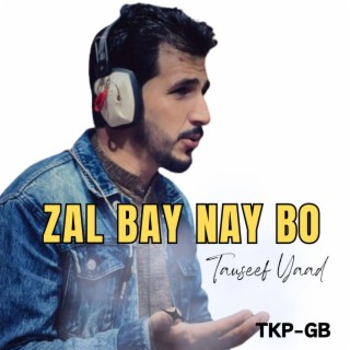 Zal Bay Nay Bo (Shina Album)