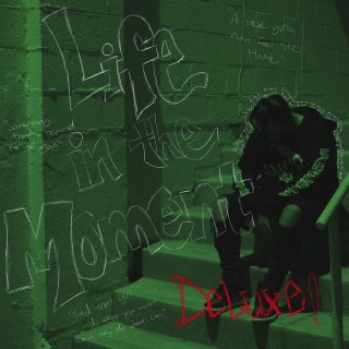 Life in the moment DELUXE