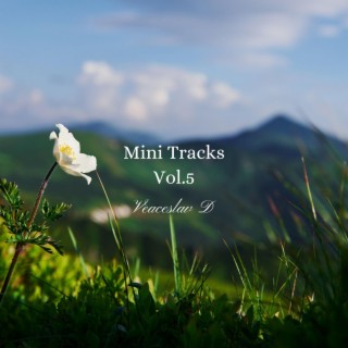 Mini Tracks, Vol. 5