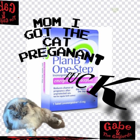 Mom, I Got The Cat Pregnant