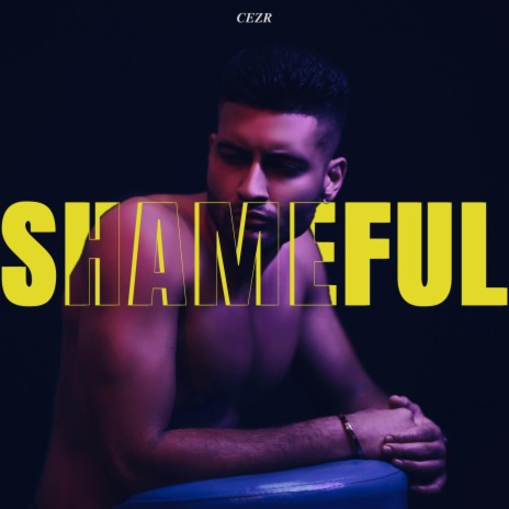 Shameful (Radio Edit) | Boomplay Music