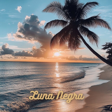 Luna Negra | Boomplay Music