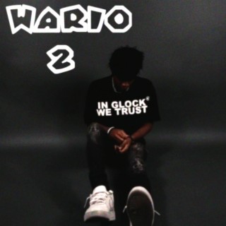 Wario 2