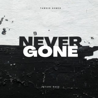 Never Gone