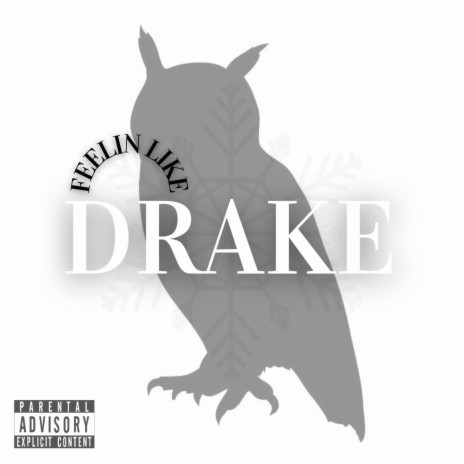 Feelin like Drake | Boomplay Music