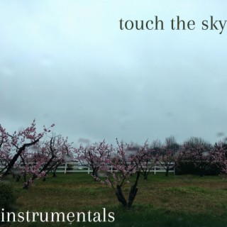 Touch the Sky