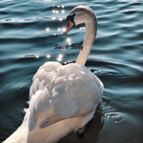 Swan Song | Boomplay Music