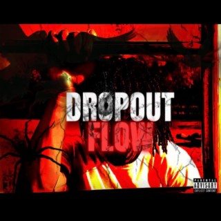 DROPOUT FLOW