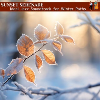 Ideal Jazz Soundtrack for Winter Paths