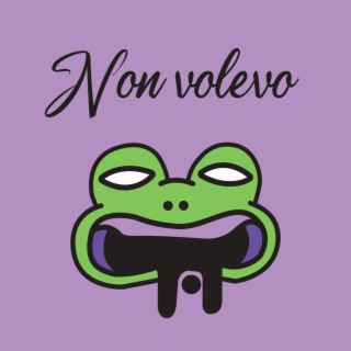 Non volevo