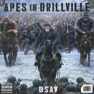 APES IN DRILLVILLE