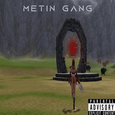 Metin Gang | Boomplay Music