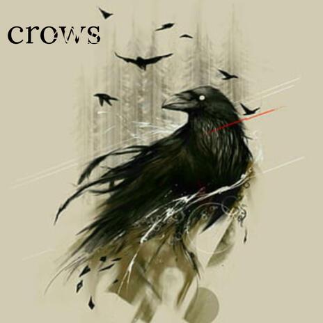 crows | Boomplay Music