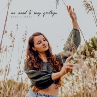 no need to say goodbye lyrics | Boomplay Music