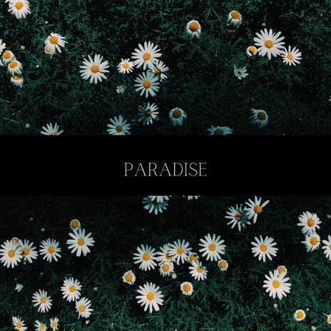 Paradise | Boomplay Music