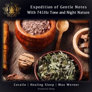 Expedition of Gentle Notes with 741Hz Tone and Night Nature