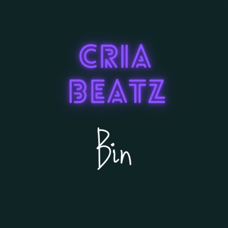 Bin | Boomplay Music