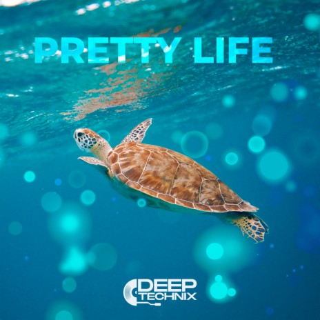 Pretty Life Deep Technix Mp3 Download Pretty Life Deep Technix Lyrics Boomplay Music