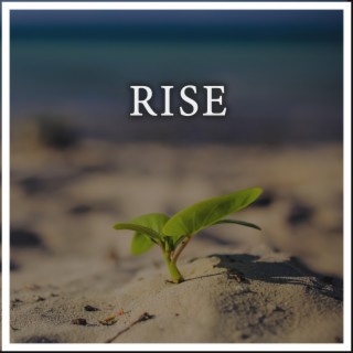 Rise