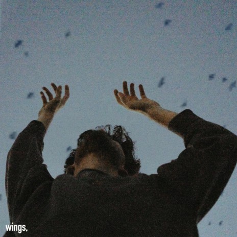 wings | Boomplay Music
