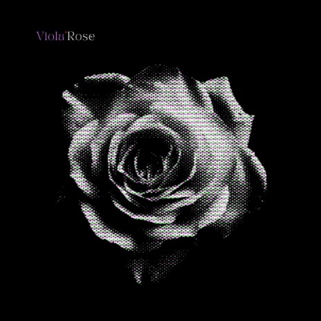 Viola Rose | Boomplay Music