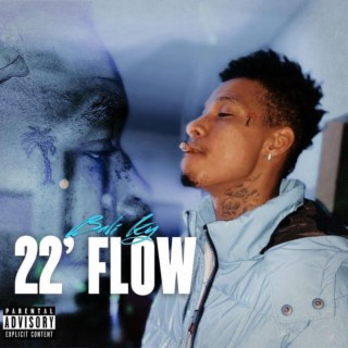 22' Flow