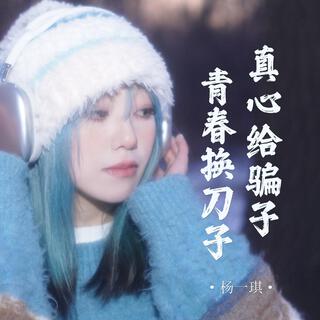 真心给骗子青春换刀子 lyrics | Boomplay Music