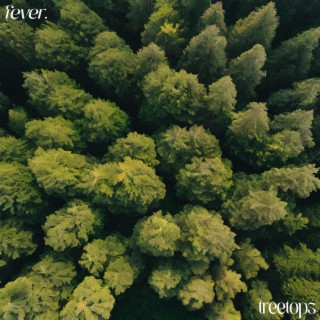 treetops