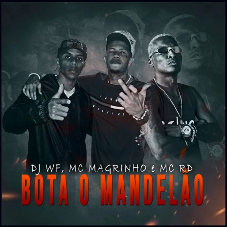 Bota o Mandelão ft. MC Magrinho & MC RD | Boomplay Music