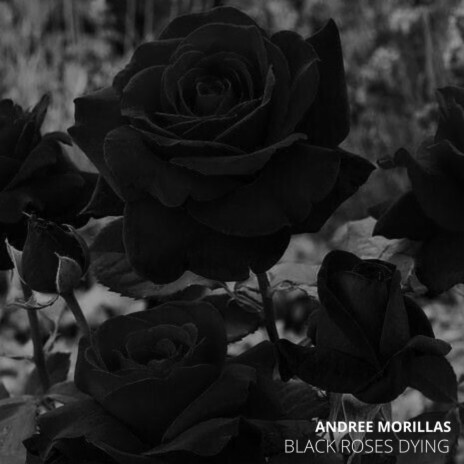 Black Roses Dying | Boomplay Music