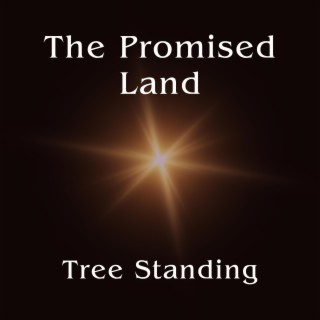 The Promised Land lyrics | Boomplay Music