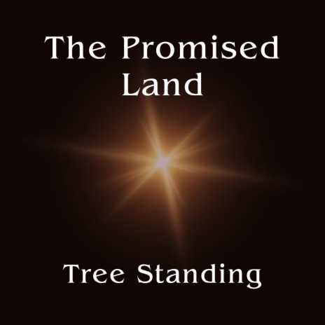 The Promised Land | Boomplay Music