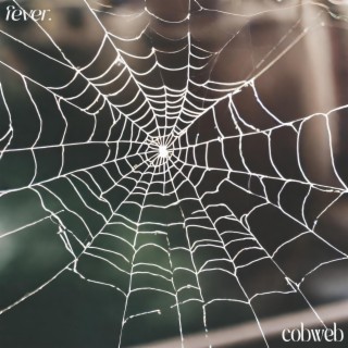 cobweb