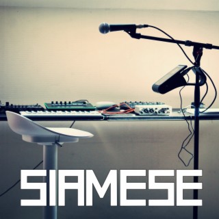 Siamese (demo version) lyrics | Boomplay Music