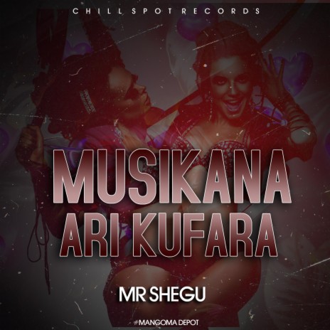 Musikana Ari Kufara ft. Mr Shegu a.k.a Sturdyman