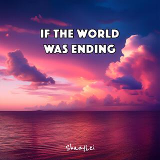 If the World Was Ending