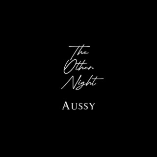 The Other Night lyrics | Boomplay Music
