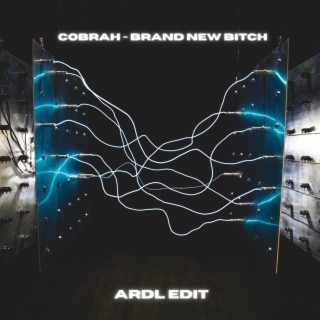 Brand New Bitch (ARDL EDIT)