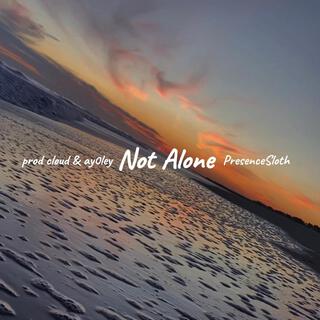 Not Alone lyrics | Boomplay Music