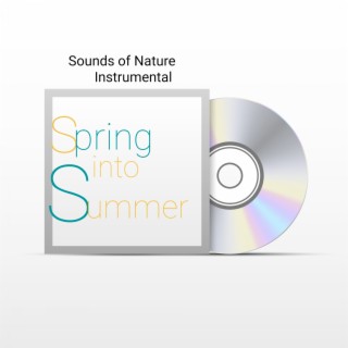 Sounds of Nature Instrumental - Spring Into Summer